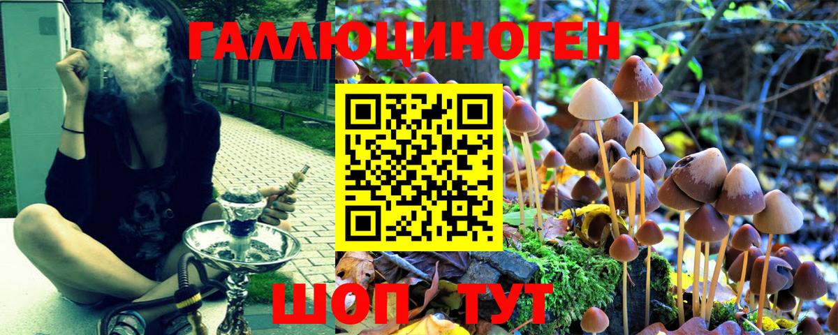 Псилоцибиновые грибы прущие грибы Электрогорск